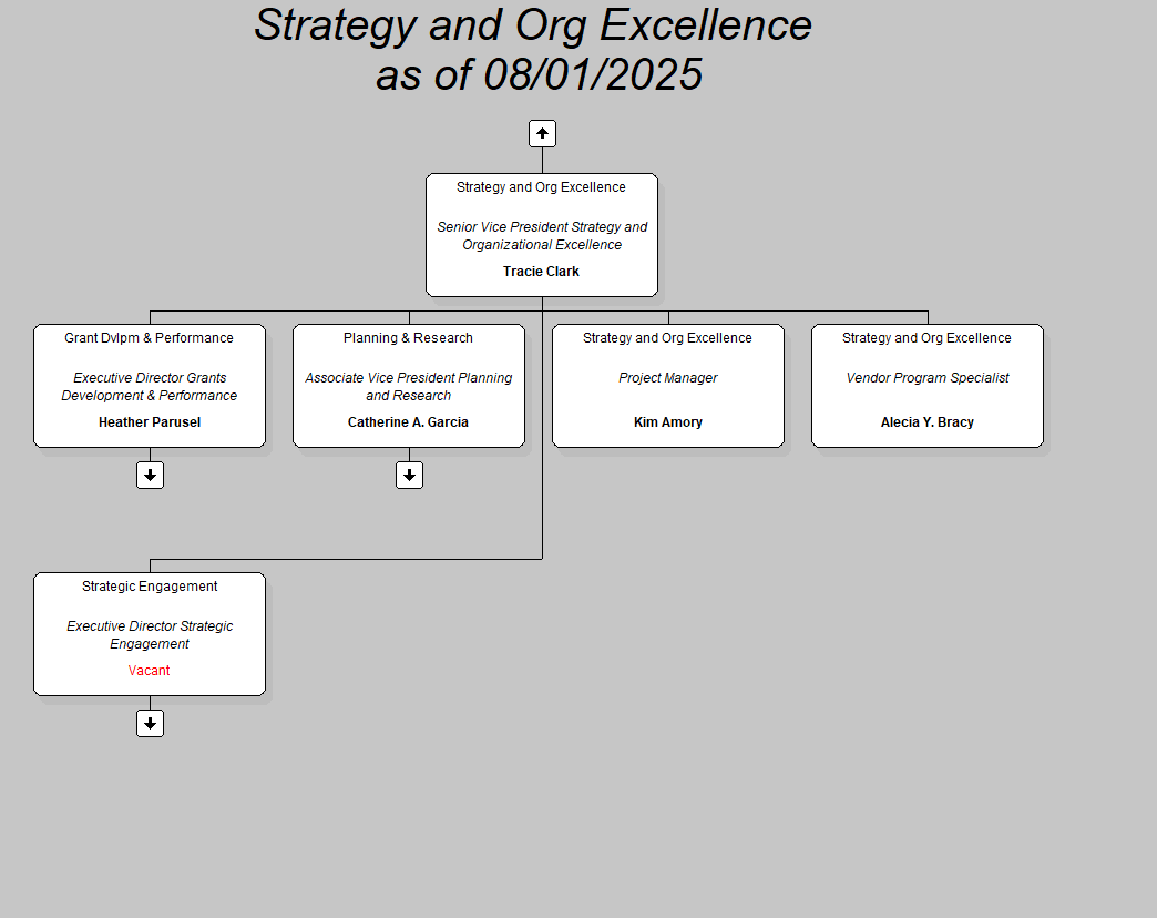 Strategy and org excellence as of 07 18 2025