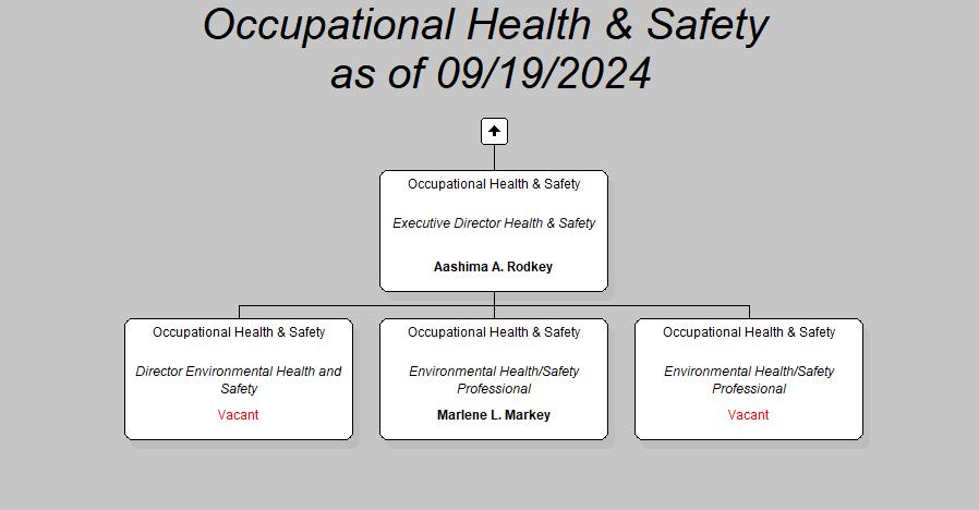 Occupational Health Safety As Of 08 07 2024   5OHLTSF FEA 1 